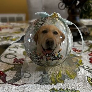 Christmas ornament photo of a yellow Labrado Animal Planet